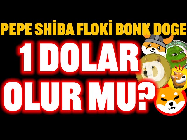 PEPE SHIBA FLOKI DOGE BONK 崛起！ DOGE 會是 1 美元嗎？ #floki #bonk #dogecoin #shiba #shib