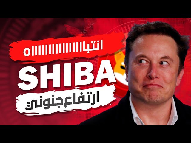 Shib和比特幣，瘋狂上漲即將到來，敬請期待🔥shib