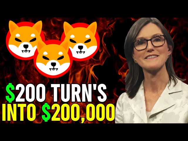 AVERTISSEMENT FINAL : 17 400 000 000 000 $ DE TOUS LES SHIBA INU SONT PARTIS !! - SHIBA INU COIN NEWS - EXPLICATION