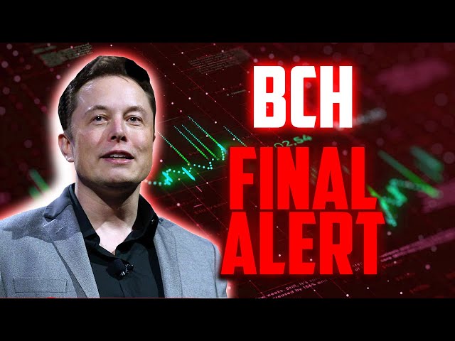 这场危机发生之前的 BCH 最终警报 - 比特币现金最现实的价格预测