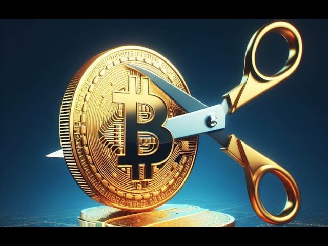 Bitcoin, l'or numérique