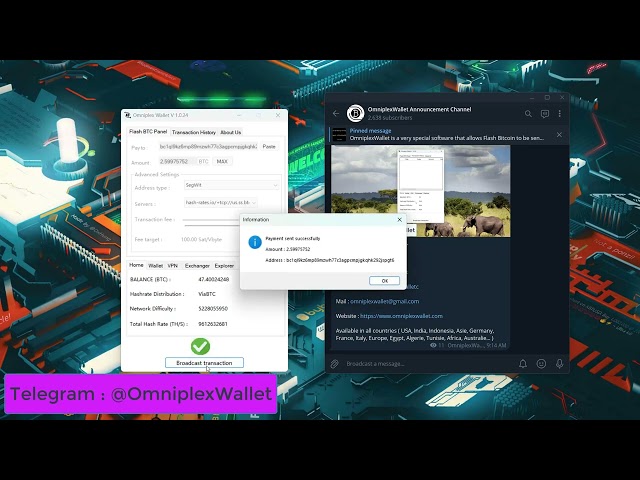 OmniplexWallet 将 Flash 比特币 (BTC) 发送到区块链 - GetFlash