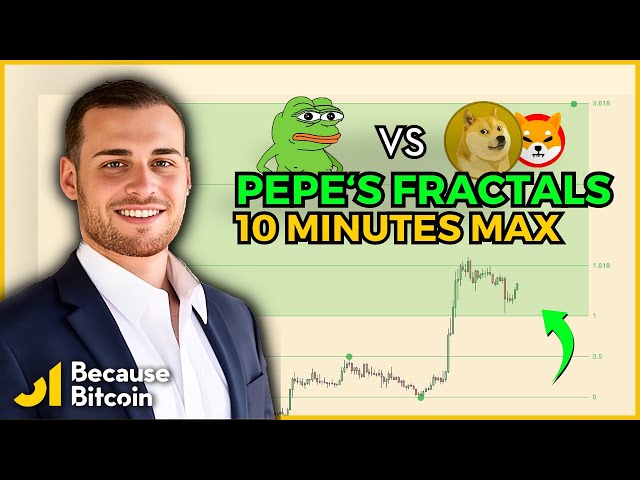 Ce que les fractales de PEPE révèlent sur son avenir | 10 MIN MAXIMUM