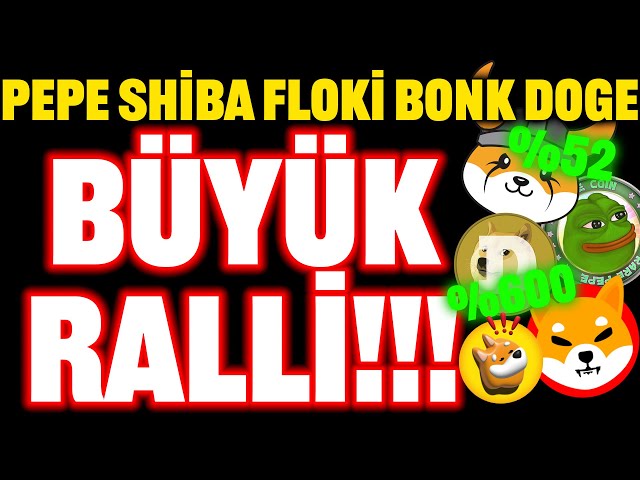 큰 집회!! PEPE SHIBA FLOKİ DOGE BONK는 멈추지 않습니다!! RISE #floki #bonk #dogecoin #shiba #shib