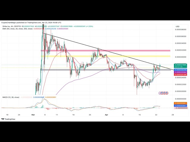 Shiba Inu 코인 가격 예측: SHIB가 이번 주에 $0.000036를 달성할 수 있을까요?