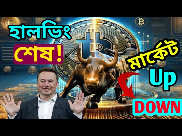 Halving End Bitcoin Price 200K$ / হালভিং শেষ bitcoin invest Big profit / best crypto invest