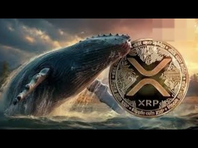 1억 XRP 토큰의 대량 전송으로 추측이 촉발됨 - Ripple이 하고 있나요? 목표는 무엇입니까?