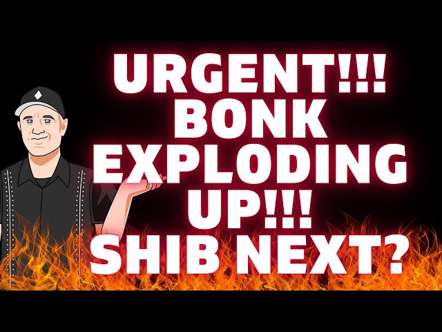 긴급 🚀 BONK 폭발 🔥 (지금 구매하기에 가장 좋은 암호화폐) 시바견 코인 가격 예측 업데이트