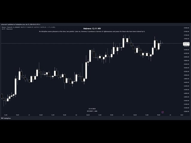 ボンポンプ今すぐ購入!!今日のBONK価格ニュース🔥テクニカル分析最新情報、価格予測！