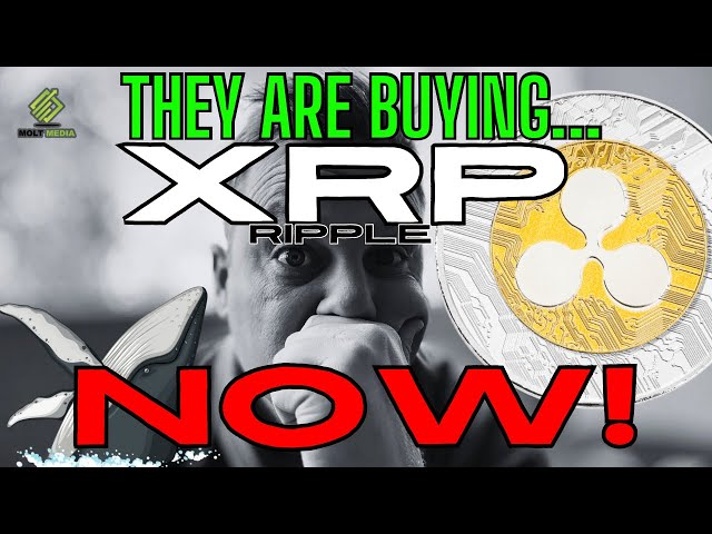 🚨 리플(XRP) 대량 구매 *증거* 초 충격!!! (리플/XRP 뉴스) 🚨