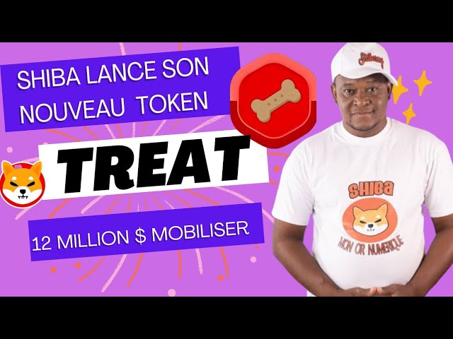 🔶 BEHANDLUNG: SHIBA LANCE SON NOUVEAU TOKEN 🔶