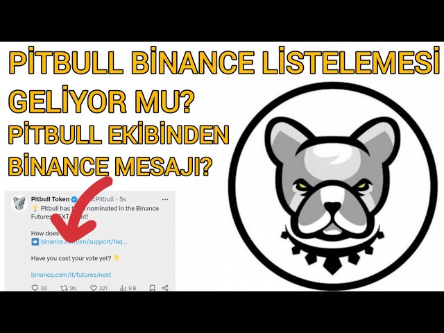 PITBULL-MÜNZE AUFREGENDE ENTWICKLUNG! BINANCE-NACHRICHT VOM PITBULL COIN TEAM ERHALTEN! #pitbulltoken