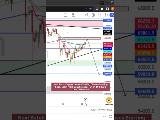 Update zur Bitcoin- und BTC-Dominanz: Marktanalyse, Preisvorhersagen und Altcoin-Trends #bitcoin