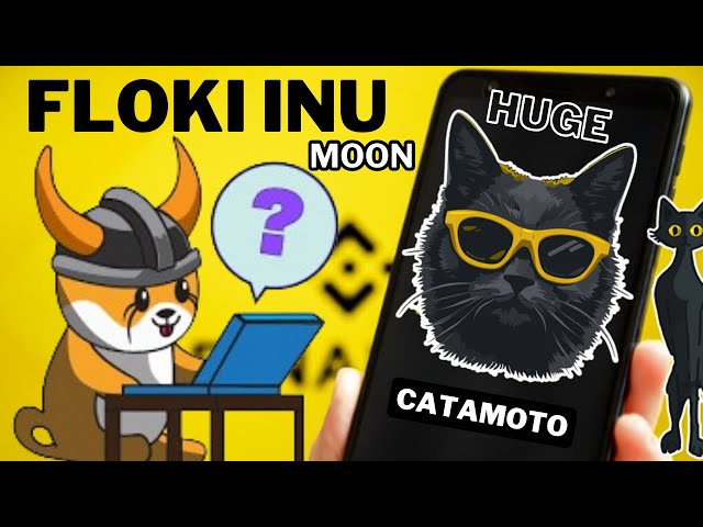 Floki inu Big Big Update heute || Floki Mond Kiled Zero || Catamoto kaufen oder nicht | Cata-Token-Betrug