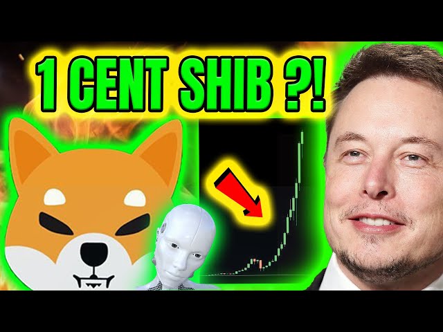 柴犬价格预测！🔥ELON MUSK AI 预测 1 美分 SHIB？！ （现实分析！）🔥