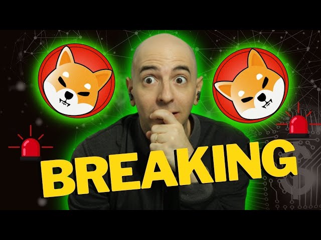 AKTUELLE SHIBA-INU-NACHRICHTEN! DAS IST DIE ZUKUNFT FÜR SHIBA INU!! KRYPTO-NEWS HEUTE