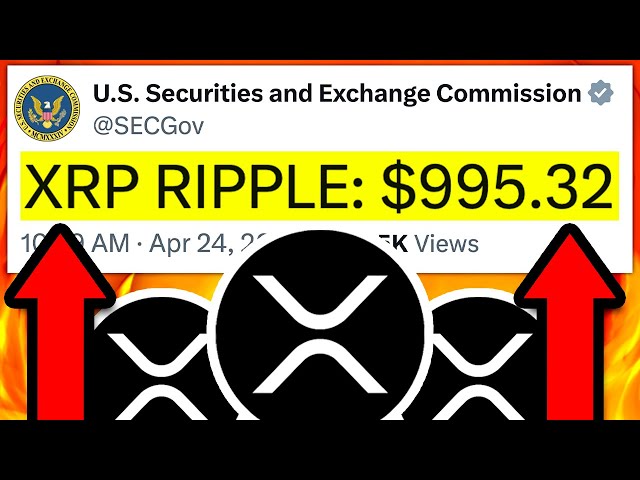 XRP 리플: SEC는 정말 패자입니다!!! 며칠 만에 $995.32 !!! - 오늘의 리플 XRP 뉴스