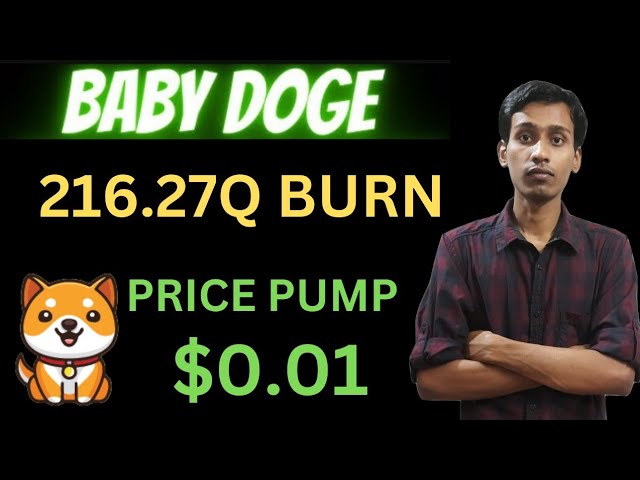 오늘의 Baby Dogecoin 뉴스 | 216.27Q 버닝 | BabyDoge 코인 파트너십 | 바이낸스 상장