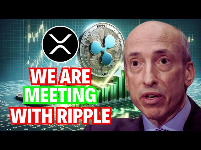 La SEC a proposé un règlement avec le PDG de Ripple, valorisant le XRP à 195,32 $.