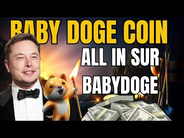 🔥 BABYDOGECOIN : TOUT SUR BABYDOGE ? 🚀🚀🚀🚀