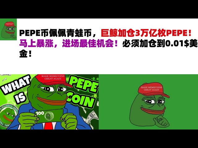 PEPE Coin Pepe Frog Coin, Giant Whale Adds 3 Trillion PEPE! The price will skyrocket immediately, the best opportunity to enter the market! The position must be increased to 0.01$ USD! PEPE Coin | Frog Coin Market Analysis!