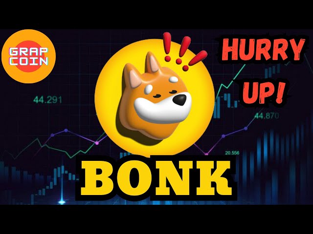 Bonk 加密货币今日价格新闻 - 技术分析更新！价格预测！