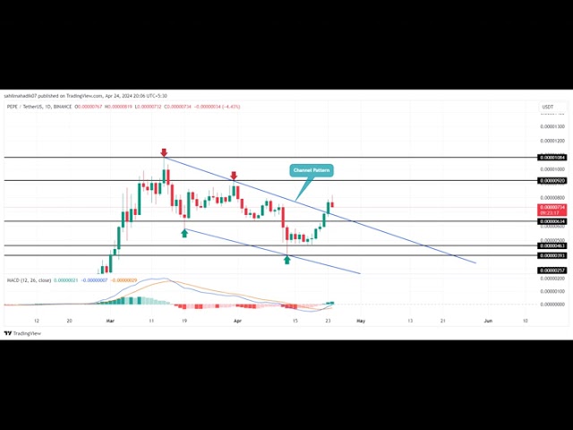 Pepe Coin 价格分析：Whale 的 172 万美元买入刺激突破至 0.00001 美元的潜力