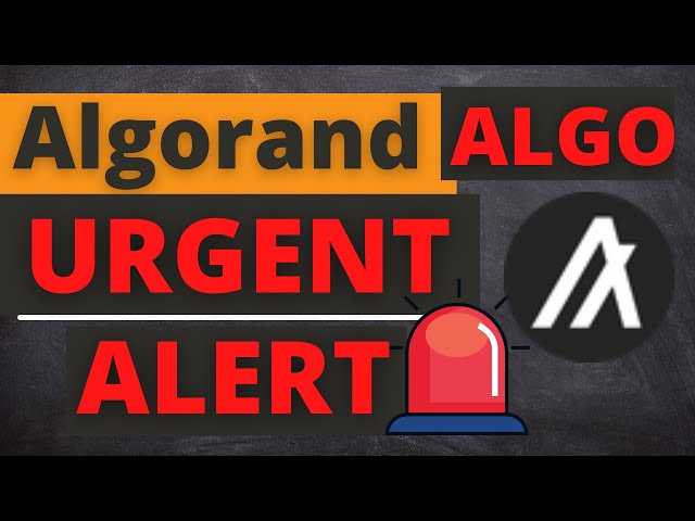 Algorand ALGO 币今日价格新闻 - 价格预测和技术分析