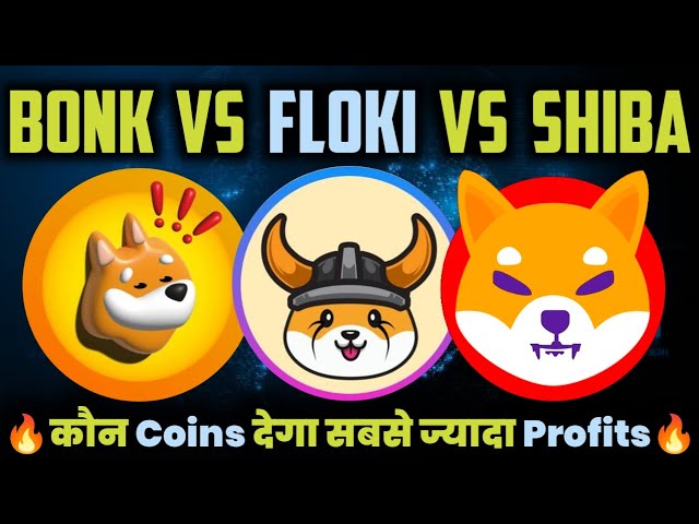 Shiba Inu vs. Floki Inu vs. Bonk ☑️🥳🚀 Wer macht uns zum Millionär ☑️ 3-Münzen-Vergleich