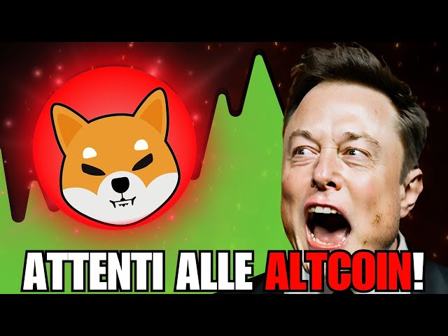 🚨 BITCOIN, PEPE COIN und SHIBA INU! Achtung auch ALTCOIN Explosive Rally!