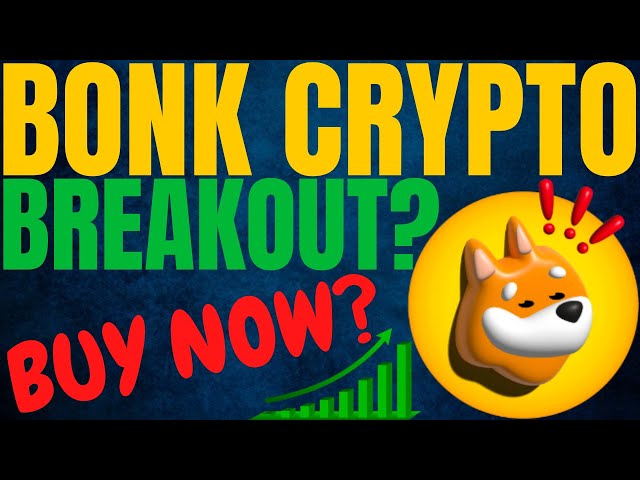 BONK CRYPTO CIRITISCHE PREISPUMPE! BONK-PREISVORHERSAGE UND -ANALYSE! BONK COIN PREISPROGNOSE 2024!