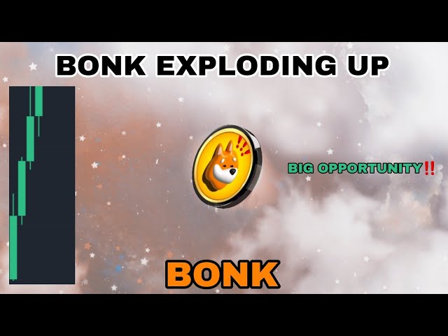 BONK COIN 2024 年 4 月に爆発的にアップデート‼️ BONK 大きなチャンス‼️ BONK 暗号通貨の次の価格シグナル