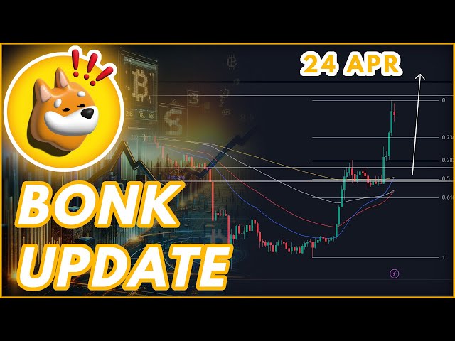 BONK BULLRUN 更新！ 2024 年債券價格預測與新聞！