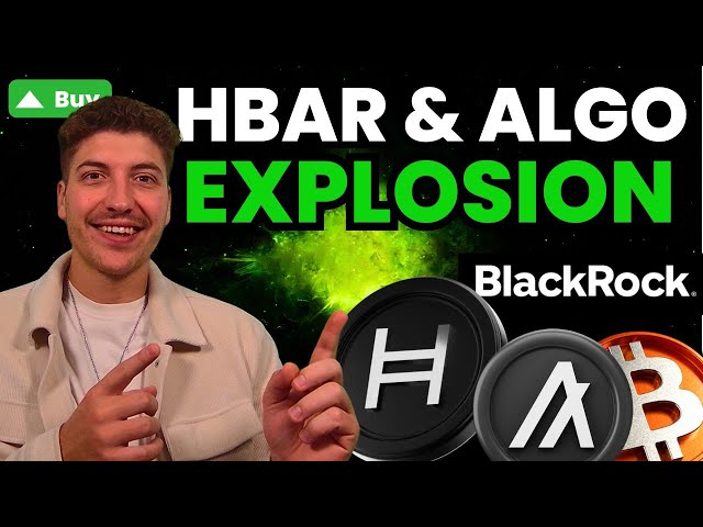 Hedera HBAR 價格爆炸🚀 與 BlackRock 的 RWA 代幣化🤝 Algorand (ALGO) 緊隨其後！ [分析]