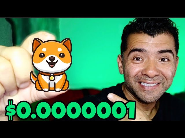 Baby Doge Coin 可能 $0 0000001 看看市值需要持有多少