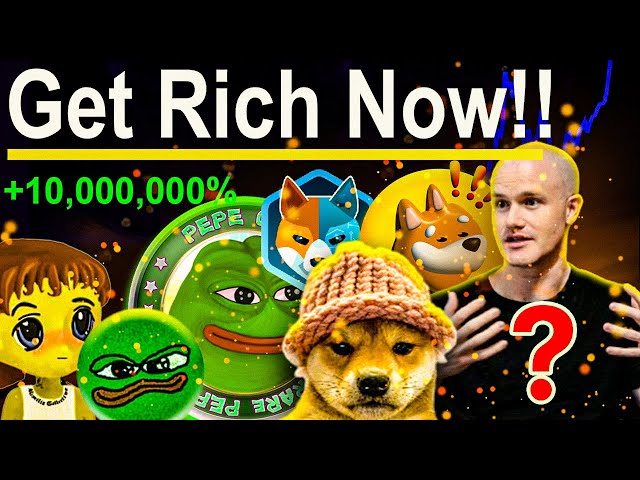 ペペポンプ!! MEMECOIN シーズンで億万長者が誕生 - ボンクコイン - MEME ポンピングの本!!