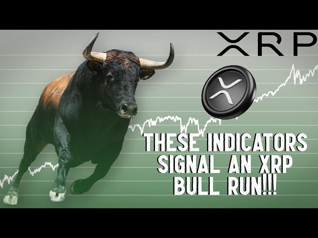 THESE Indicators Signal An XRP Bull Run!!!