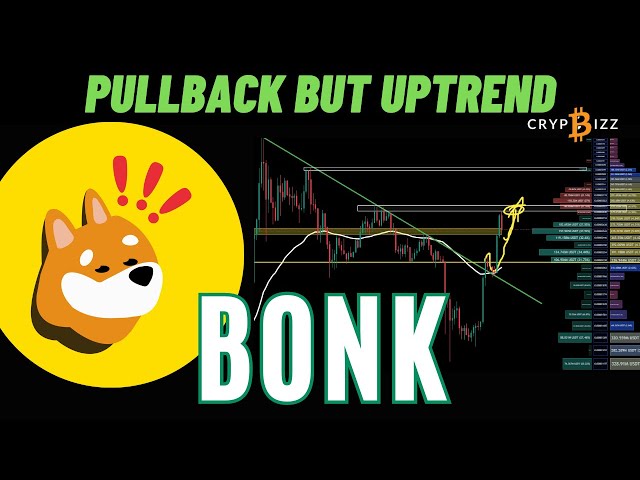 🐶 BONK Pullback But Uptrend! -Technical Analysis Update,Pepe Price Prediction