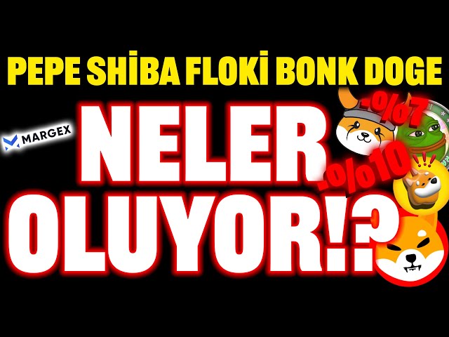 PEPE SHIBA FLOKİ DOGE BONK 무슨 일이 일어나고 있나요?! 추락! 마젝스 거래소 #floki #bonk #dogecoin #shiba