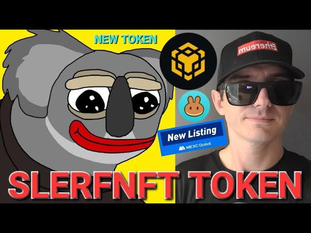 $SLERFNFT - SLERFNFT 토큰 암호화폐 BNB BSC SLERF NFT MEXC 글로벌 팬케이크스왑 MEME MEMECOIN NEW