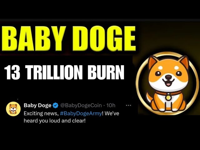 寶貝狗狗幣提案 | 13兆燃燒| BabyDoge 硬幣價格幫浦 |幣安上線