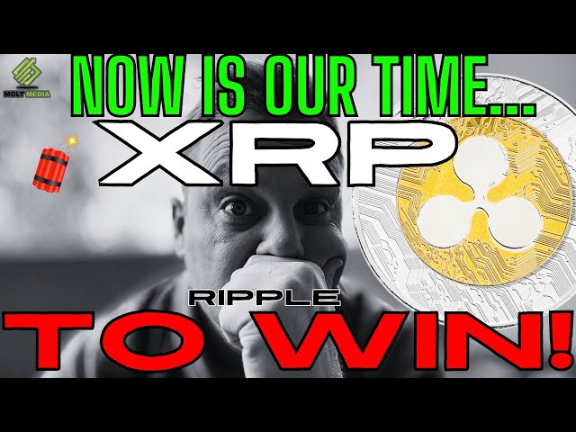 🚨 リップル (XRP) *FED 明らか* XRPL ステーブルコイン、天才デビッド シュワルツはこう言います! (リップル/XRPニュース) 🚨