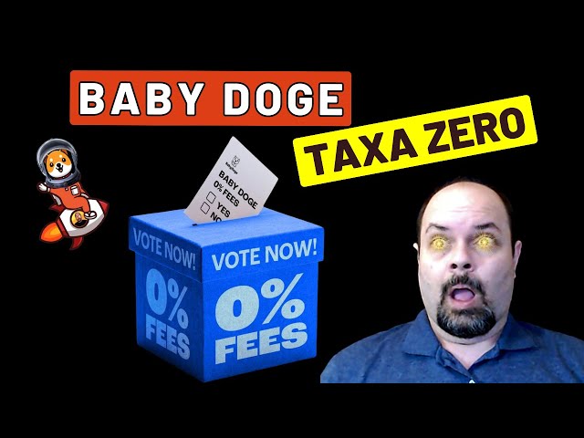 BABY DOGE ZERO RATE - AMAZING PROPOSAL!