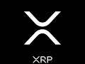 Bull Begins I 1 Münze jeden Tag I Tag 4 XRP