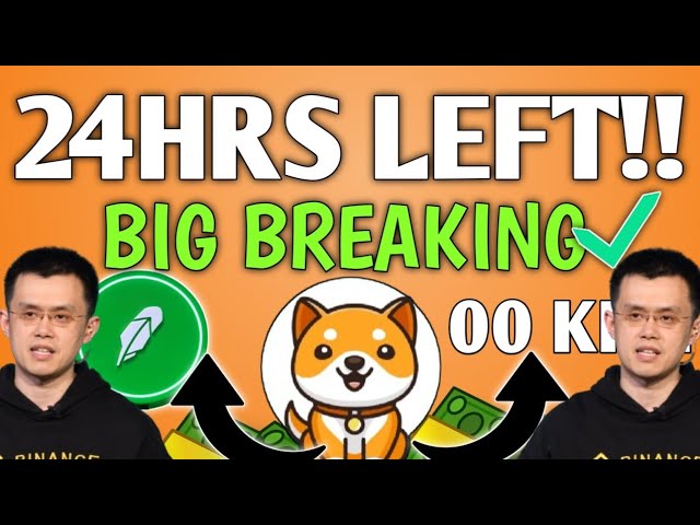 ベイビードージコイン🫣 残り 24 時間! = ROBINHOOD NEXT🤑0000 ゼロキル😱コイン速報今日の価格予測