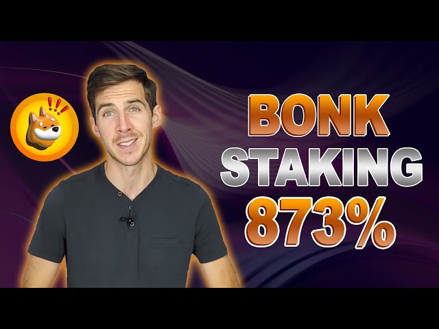 2024년 최고의 암호화폐 🚀 INSANE APR을 통한 Bonk 코인 스테이킹 💰 일일 BONK 수익