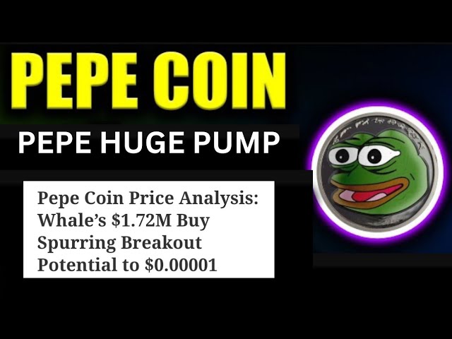 PEPE 币今日新闻 | PEPE 币价泵 | PEPE $0.00001 |鲸鱼买入 170 万美元