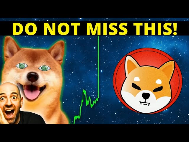 柴犬硬币价格预测 🔥 柴犬价格即将爆炸??🚀 SHIB 价格预测更新！