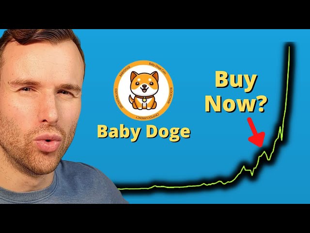 Pourquoi BabyDoge Coin est en hausse 🤩 Analyse des jetons cryptographiques