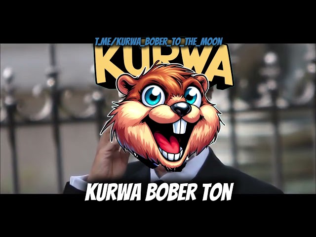 Bober Kurwa Coin is a new x100000% meme coin on TON